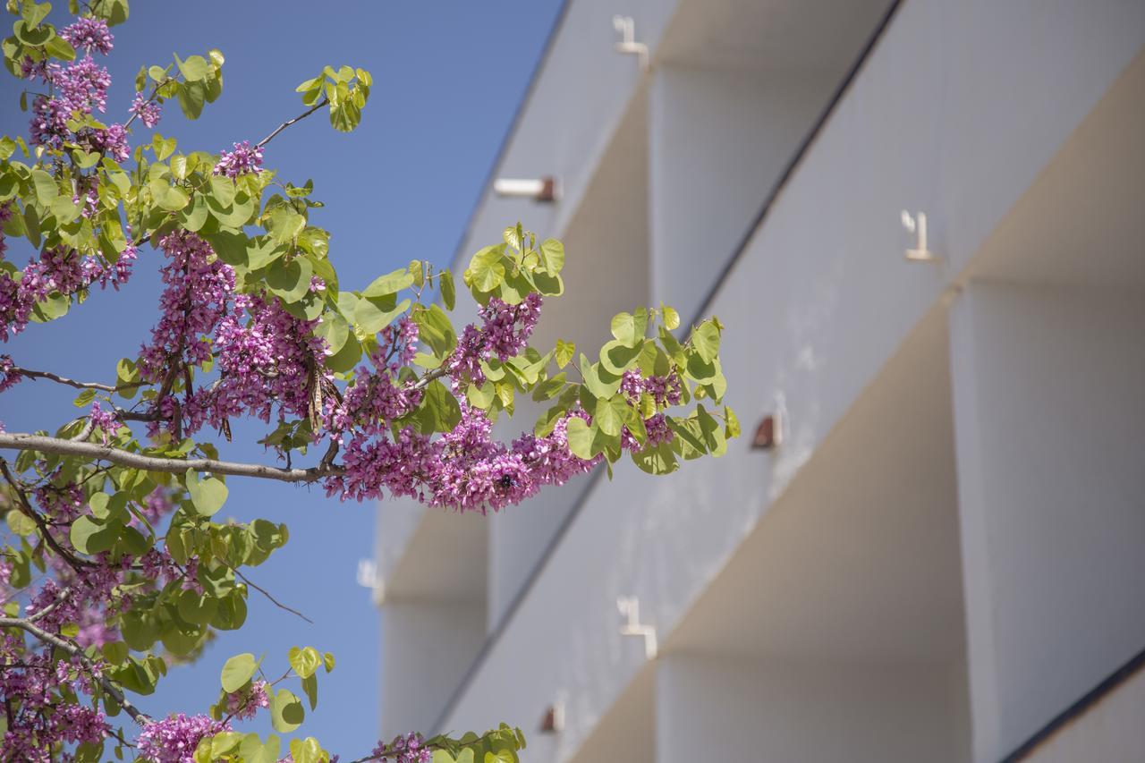 Casa Del Mar Hotel & Apartaments Roses Exterior foto
